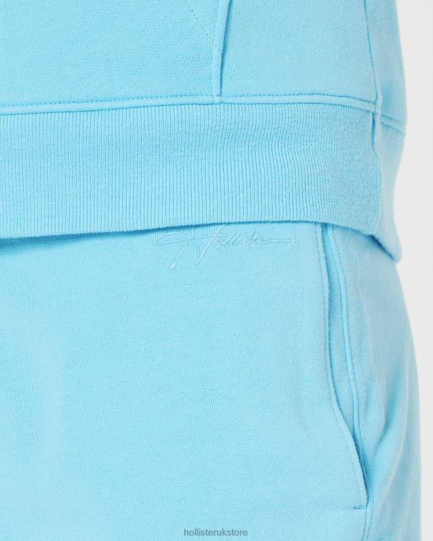Bottoms Hollister Men Terry Fleece Logo Shorts 5\\ 488201260 Turquoise